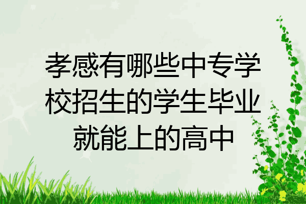 孝感有哪些中专学校招生的学生毕业就能上的高中