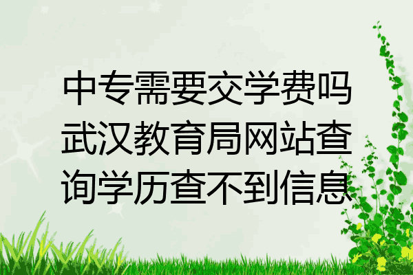 中专需要交学费吗武汉教育局网站查询学历查不到信息