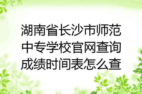 湖南省长沙市师范中专学校官网查询成绩时间表怎么查