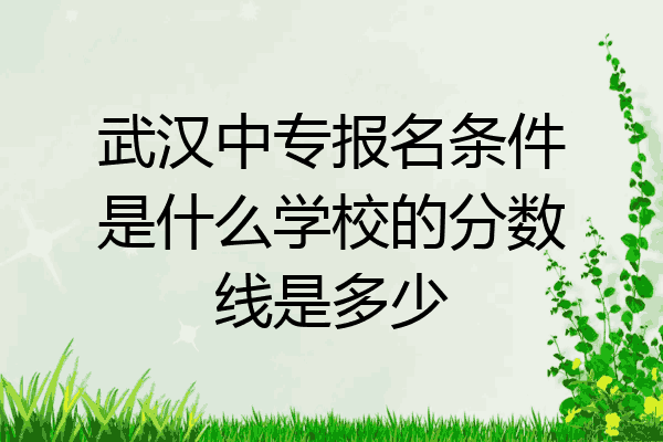 武汉中专报名条件是什么学校的分数线是多少