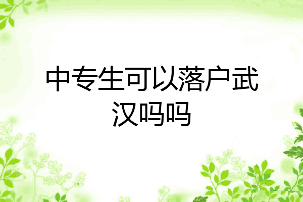 中专生可以落户武汉吗吗