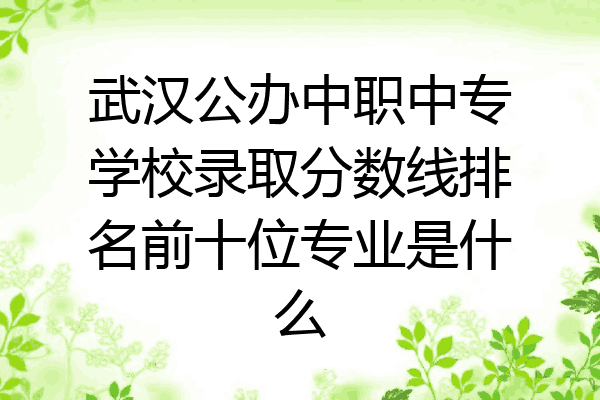 武汉公办中职中专学校录取分数线排名前十位专业是什么