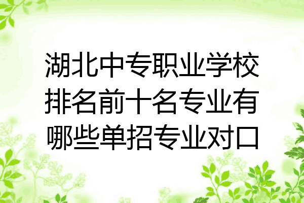 湖北中专职业学校排名前十名专业有哪些单招专业对口