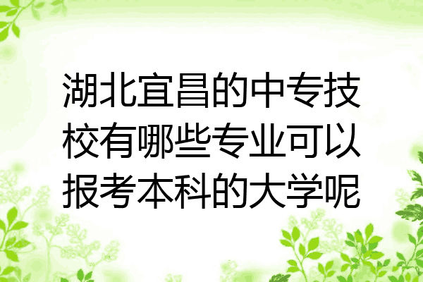 湖北宜昌的中专技校有哪些专业可以报考本科的大学呢