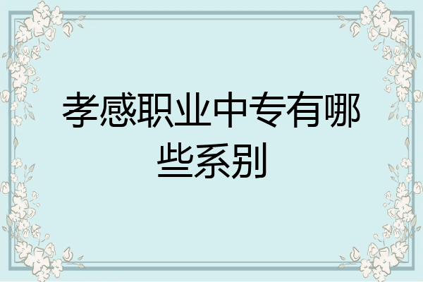 孝感职业中专有哪些系别