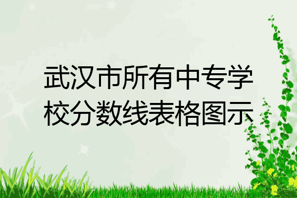 武汉市所有中专学校分数线表格图示
