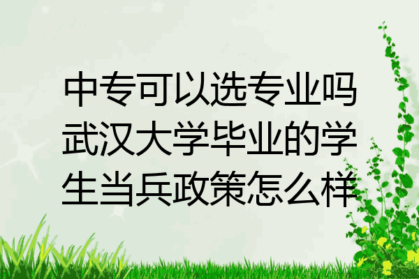 中专可以选专业吗武汉大学毕业的学生当兵政策怎么样