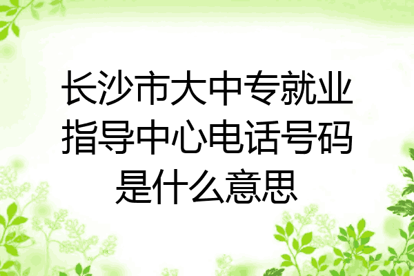 长沙市大中专就业指导中心电话号码是什么意思