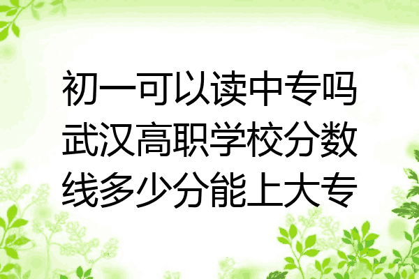 初一可以读中专吗武汉高职学校分数线多少分能上大专