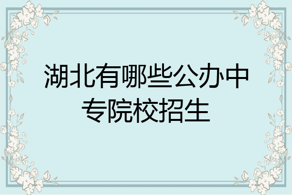 湖北有哪些公办中专院校招生