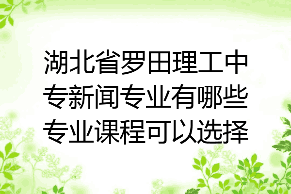 湖北省罗田理工中专新闻专业有哪些专业课程可以选择