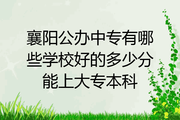 襄阳公办中专有哪些学校好的多少分能上大专本科