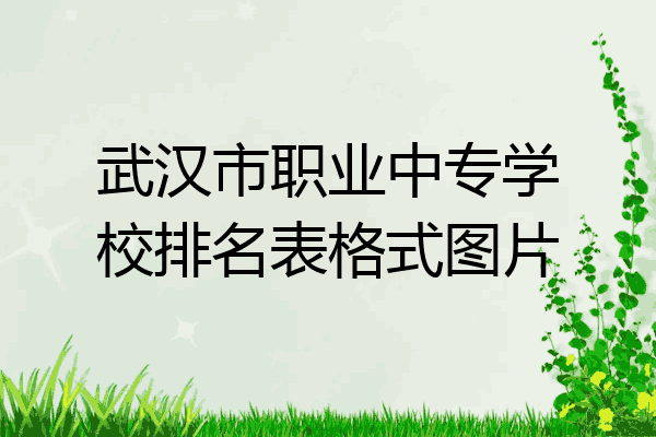 武汉市职业中专学校排名表格式图片