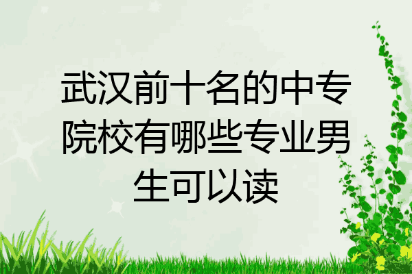 武汉前十名的中专院校有哪些专业男生可以读