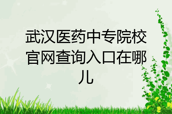 武汉医药中专院校官网查询入口在哪儿