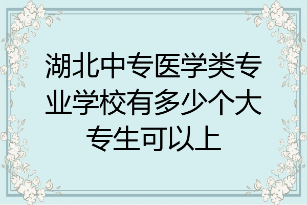 湖北中专医学类专业学校有多少个大专生可以上