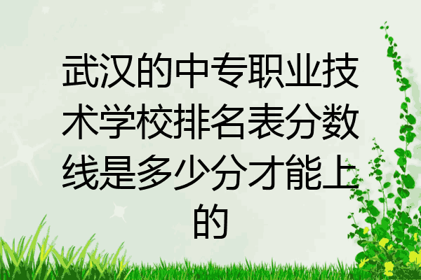 武汉的中专职业技术学校排名表分数线是多少分才能上的