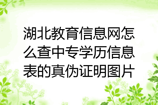 湖北教育信息网怎么查中专学历信息表的真伪证明图片