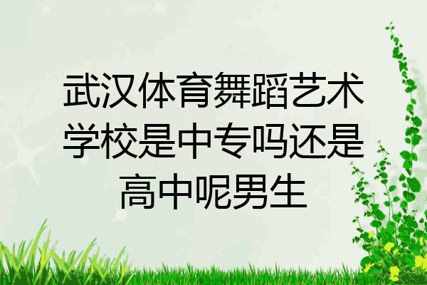 武汉体育舞蹈艺术学校是中专吗还是高中呢男生