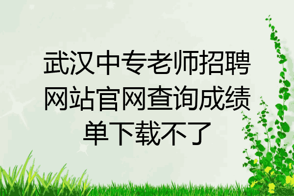 武汉中专老师招聘网站官网查询成绩单下载不了