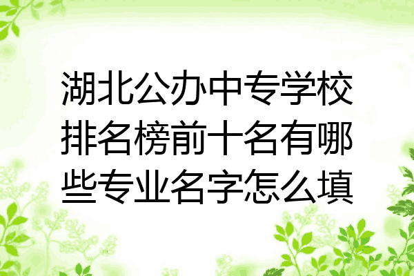 湖北公办中专学校排名榜前十名有哪些专业名字怎么填