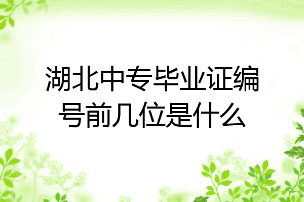 湖北中专毕业证编号前几位是什么