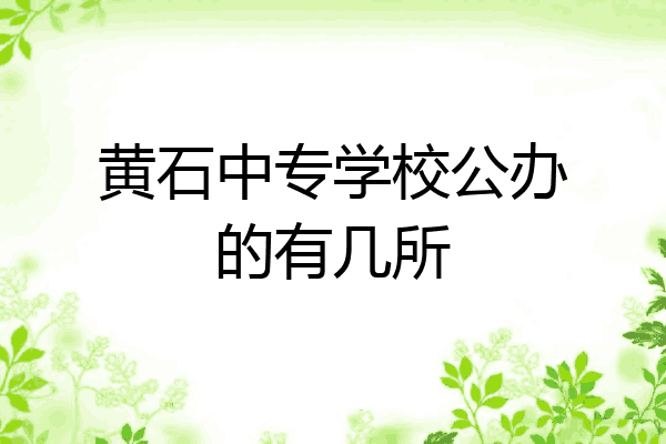 黄石中专学校公办的有几所
