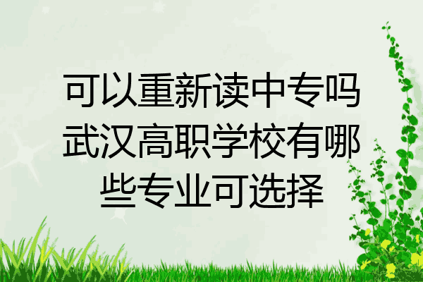 可以重新读中专吗武汉高职学校有哪些专业可选择