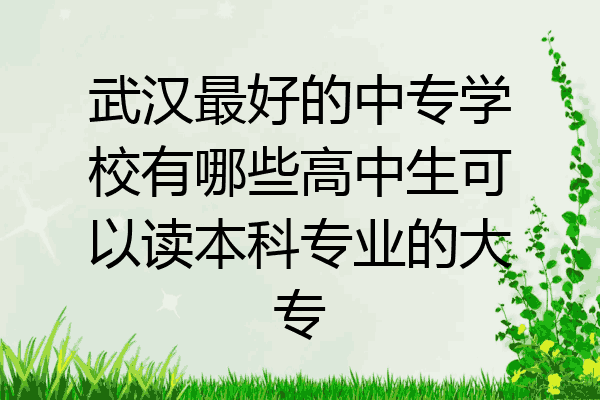武汉最好的中专学校有哪些高中生可以读本科专业的大专