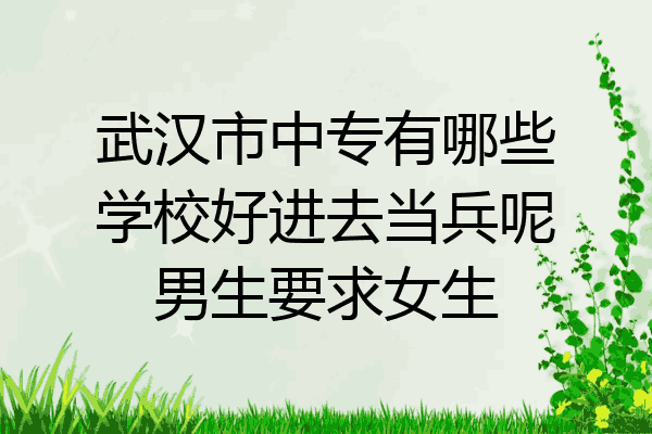 武汉市中专有哪些学校好进去当兵呢男生要求女生