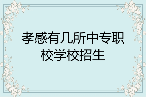孝感有几所中专职校学校招生
