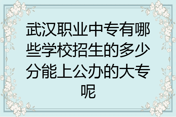 武汉职业中专有哪些学校招生的多少分能上公办的大专呢