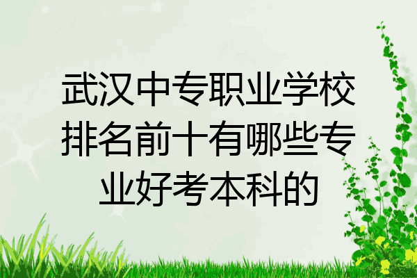 武汉中专职业学校排名前十有哪些专业好考本科的