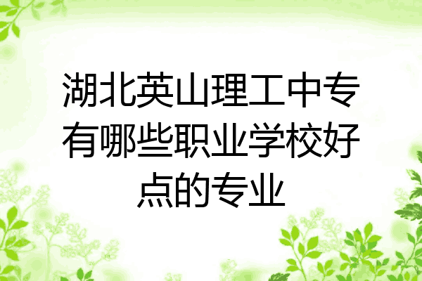 湖北英山理工中专有哪些职业学校好点的专业