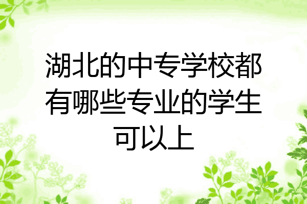 湖北的中专学校都有哪些专业的学生可以上