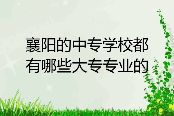 襄阳的中专学校都有哪些大专专业的