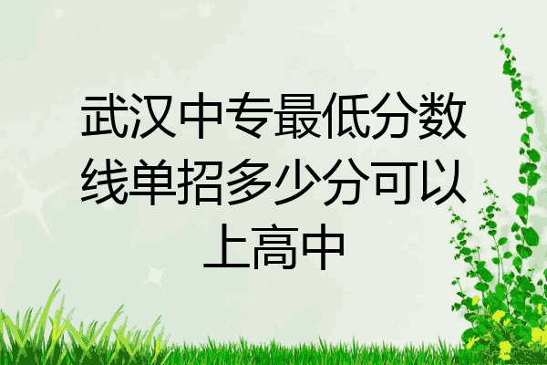 武汉中专最低分数线单招多少分可以上高中