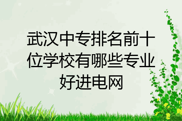 武汉中专排名前十位学校有哪些专业好进电网