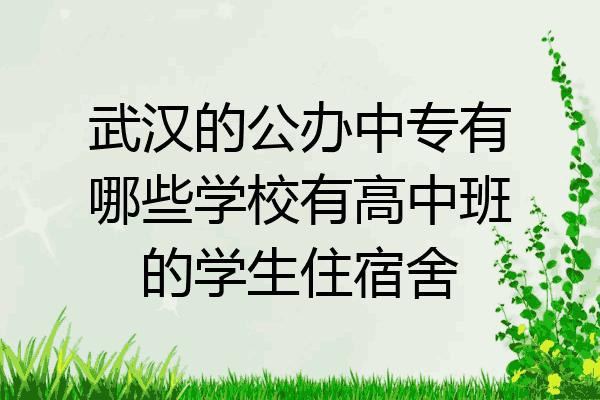 武汉的公办中专有哪些学校有高中班的学生住宿舍