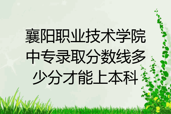 襄阳职业技术学院中专录取分数线多少分才能上本科