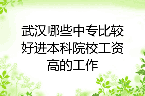 武汉哪些中专比较好进本科院校工资高的工作