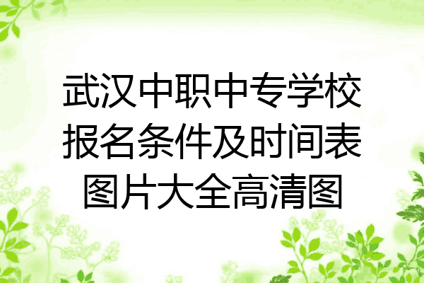 武汉中职中专学校报名条件及时间表图片大全高清图