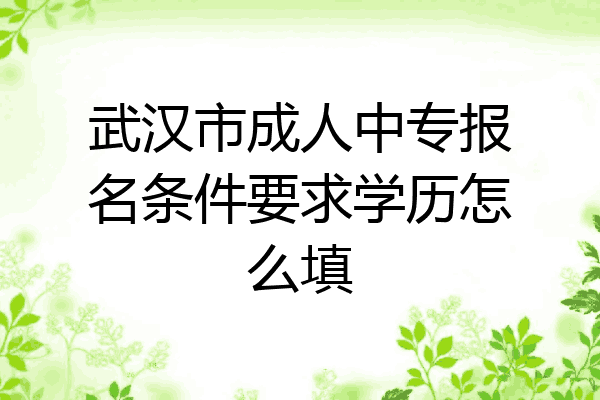 武汉市成人中专报名条件要求学历怎么填