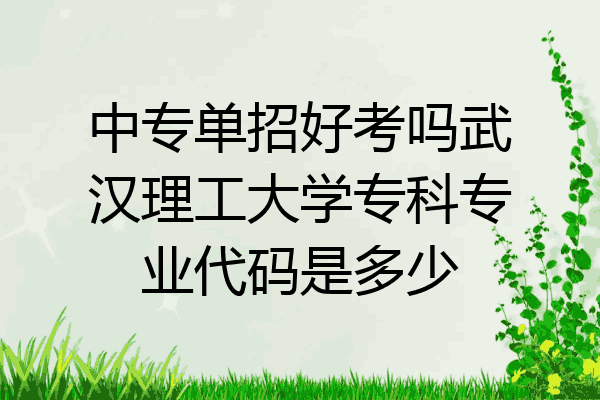 中专单招好考吗武汉理工大学专科专业代码是多少