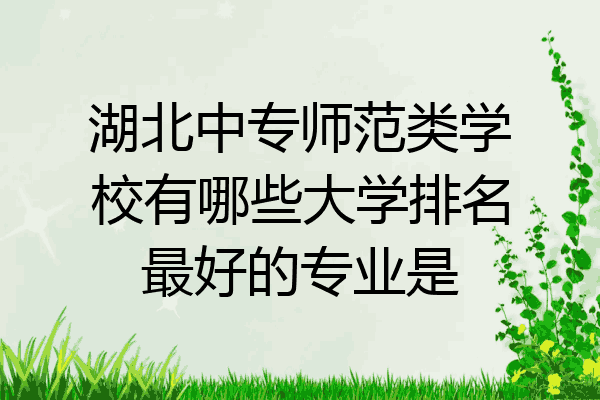湖北中专师范类学校有哪些大学排名最好的专业是