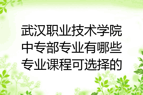 武汉职业技术学院中专部专业有哪些专业课程可选择的