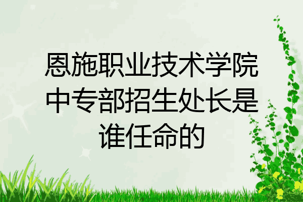 恩施职业技术学院中专部招生处长是谁任命的