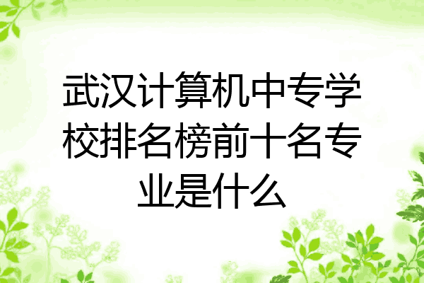 武汉计算机中专学校排名榜前十名专业是什么