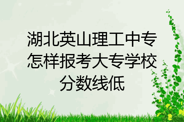 湖北英山理工中专怎样报考大专学校分数线低