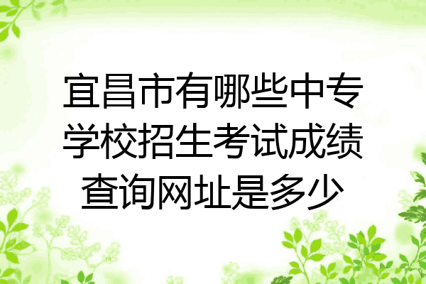 宜昌市有哪些中专学校招生考试成绩查询网址是多少